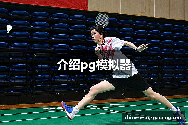 介绍pg模拟器